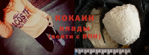 крисы Абаза