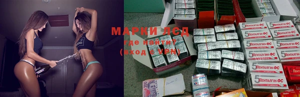 дживик Магадан