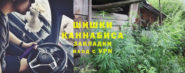 крисы Абаза