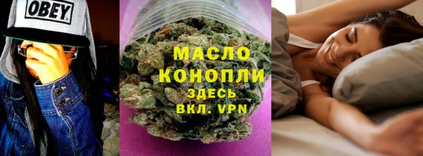 крисы Абаза